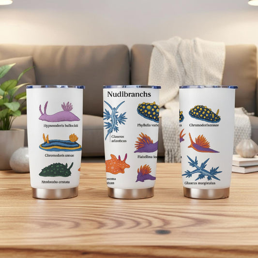 ADS-TCTT-MV7ZP-FFFFFF